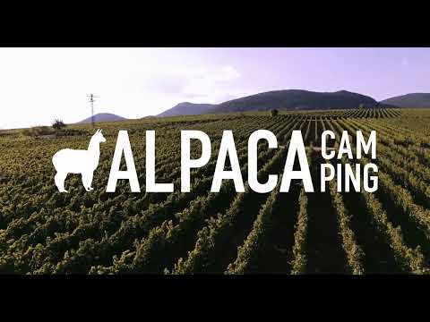 AlpacaCamping: Camping App