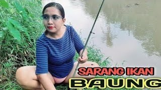 Download lagu mancing di sungai kampung pedesaan di temani udara yang sejuk mp3