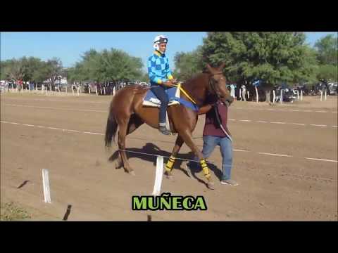 MUÑECA, Pista Pangare - Cruz del Eje (10-02-19)