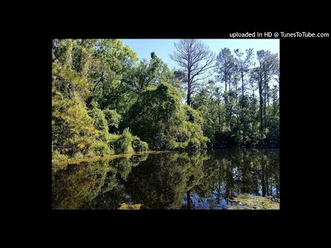 The Seed of the Areoi - Wanderwelle