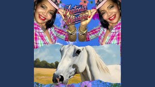 Video Por Tu Mal Comportamiento (Audio) de Antonia Marrero - La Morena De La Copla