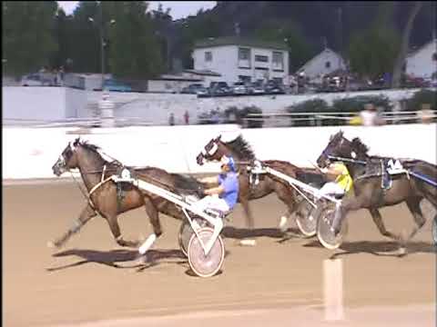 Trotto 12/08/2017 - 1ª corsa