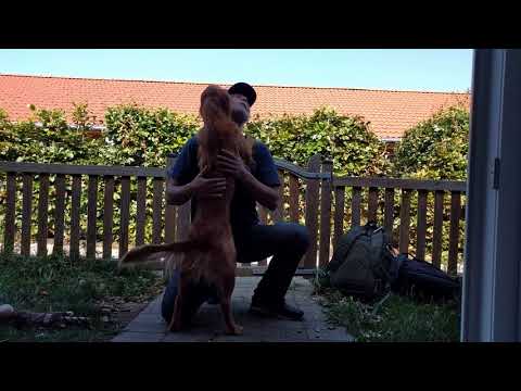 Fly hilser på Runar 2