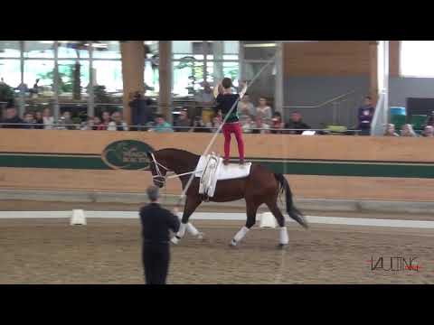 Jannik Liersch (GER),  CVIO Ebreichsdorf 2019