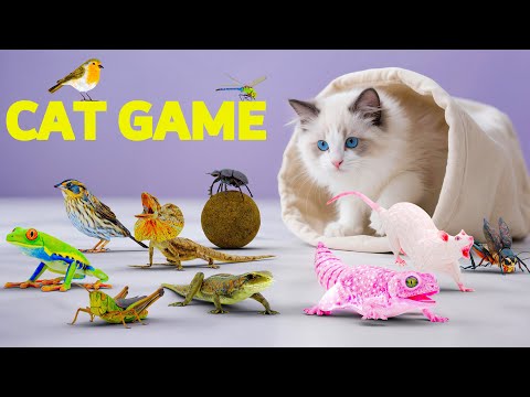 CAT Games - Realistic 3D GAME FOR CATS | Best VIDEOS for CATS | 10 HOURS