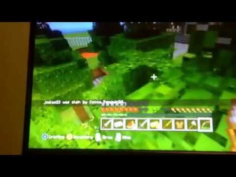 Minecraft: Hunger games