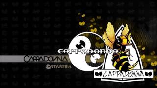 Cappadonna - Slang Editorial (Cylent Assassin RMX)