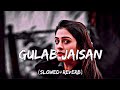 GULAB JAISAN Khilal Badu Lofi Music Slowed Reverb Nilkamal Singh Song Lofi Lofimusic