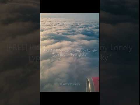 [FREE] Playboi Carti x Destroy LonelyType Beat - "Falling sky" #playboicartitypebeat #flight
