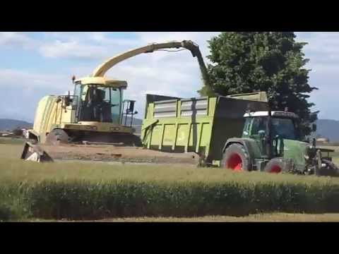 Trinciato frumento 2014 - Krone Big X 850 - Agrotecnica Fraron