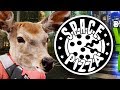 [BREAKS] Bowser - Wasted