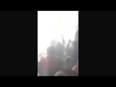 Livin' Joy "DREAMER" Summer 2013 Bootleg Dropped @ PACHANYC 5.10.2013