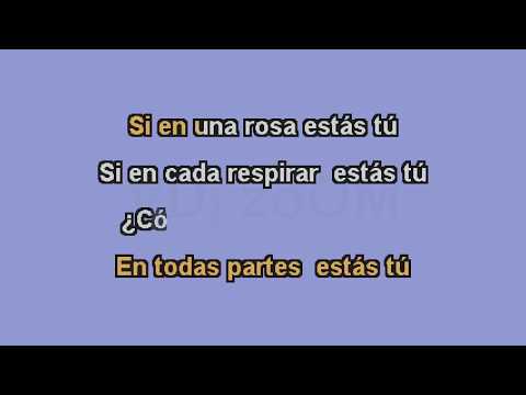 Cumbias Pa´ Gozar Cantando   Angeles Azules Mix