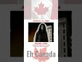YOUNG LIONS #2000s #constantines #younglions #canadian #music #canada #glorious #free #onthisday