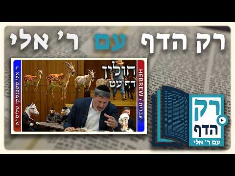 חזרה - חולין דף עט | "רק הדף" עם ר' אלי סטפנסקי