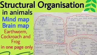 Mind map Structural Organisation in Animals Brain map Biology Class 11 Chapter 7