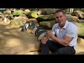 Wildlife Watching With Healthy Harold Episode 2