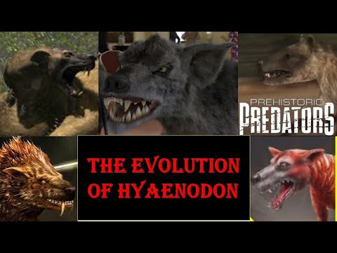the evolution of hyaenodon