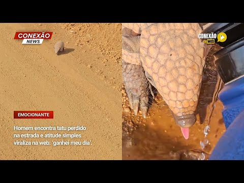 Vídeo: Homem encontra tatu perdido na estrada e atitude simples viraliza na web: ‘ganhei meu dia’.