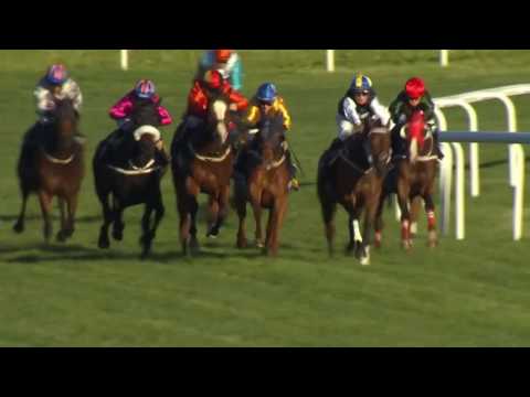 2017.07.04 Lady Jockeys' Thoroughbred World Championship (SWE)