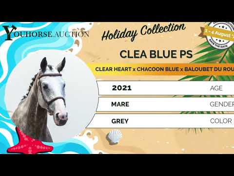 youtube preview