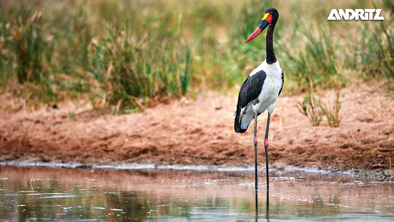 ANDRITZ SEPARATION - Episode 10 - How do you dewater more ore with less impact?