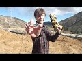 Power Rangers Dino Charge Zord Summon