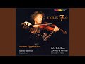Violin Partita No. 2 in D Minor, BWV 1004: I. Allemande