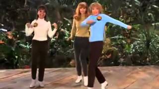 You Need Us by The Honey Bees (Gilligan's Island)