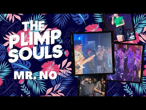 The Plimp Souls LIVE! - Mr. No at Moovin Festival 2022