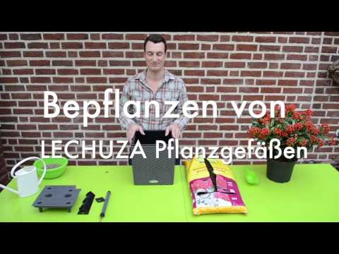 Bepflanzen von LECHUZA Pflanzgefäßen - www.gartencenter-bestehorn.de