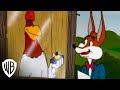 Looney Tunes Super Stars Foghorn Leghorn ...