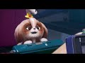 The Secret Life Of Pets 2 Shih Tzu 30 In Cinemas May 24
