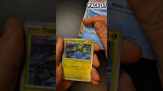 EP. 19 Chasing the Zard #pokemon #pokemoncards #pokemontcg #packopenning #pokemoncardopening
