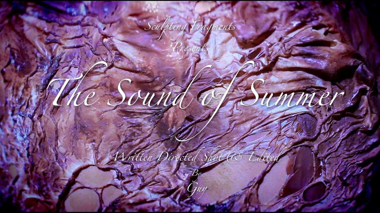 The Sound of Summer (2022) - Trailer|「夏バテ女」予告編