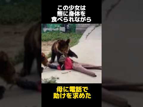 クマは何を食べますか?