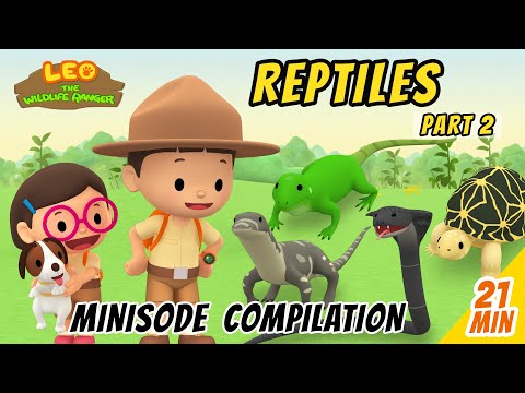 Reptiles Minisode Compilation (Part 2/2) - Leo The Wildlife Ranger | Animation | For Kids