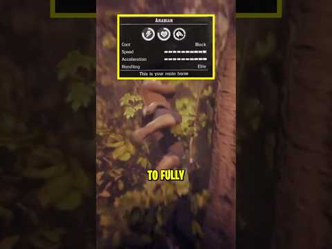 Discover the FASTEST Way to MAX Out Your Horse in Red Redemption 2!