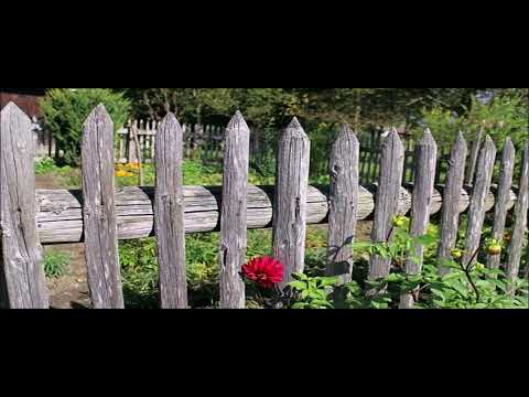 Der Lattenzaun - Gedicht von  Christian Morgenstern