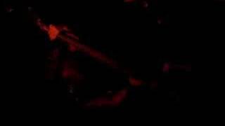 Robin - Psycho Carnival 2007