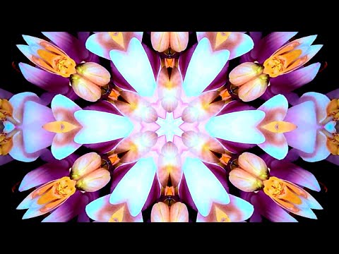 FLOWERS / KALEIDOSCOPE VIDEO