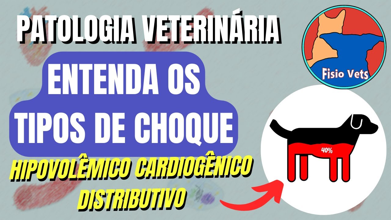 Tipos de choque: Cardiogênico, Hipovolêmico e Distributivo - Fisiopatologia