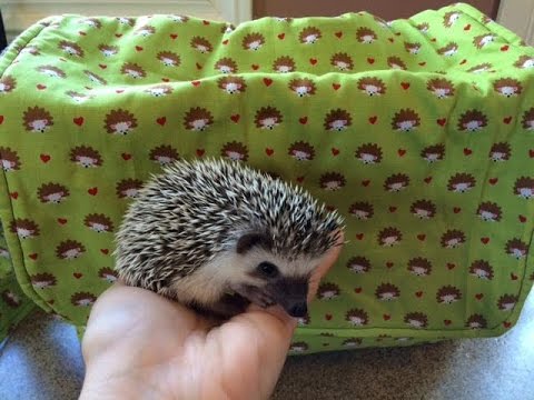 Hedgehog Zuri Travel Bag