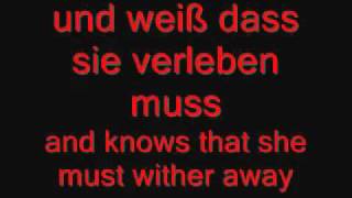 Rammstein - Nebel lyrics and english translation