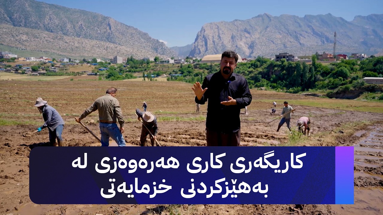 ڤیدیۆ | ژیانتان ئاڤا؛ کاریگەری کاری هەرەوەزی لە بەهێزکردنی خزمایەتی