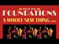 The Foundations - A Whole New Thing (Mono) (Official Audio)