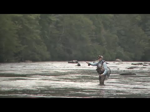 Hometown Georgia Blue Ridge and Oyster Bamboo Fly Rods