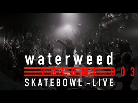 waterweed - 05.All our wishes / 06.Ashes (Live Video)