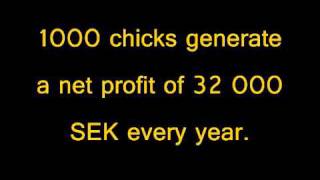 I LOVE MY CHICK (English version).wmv