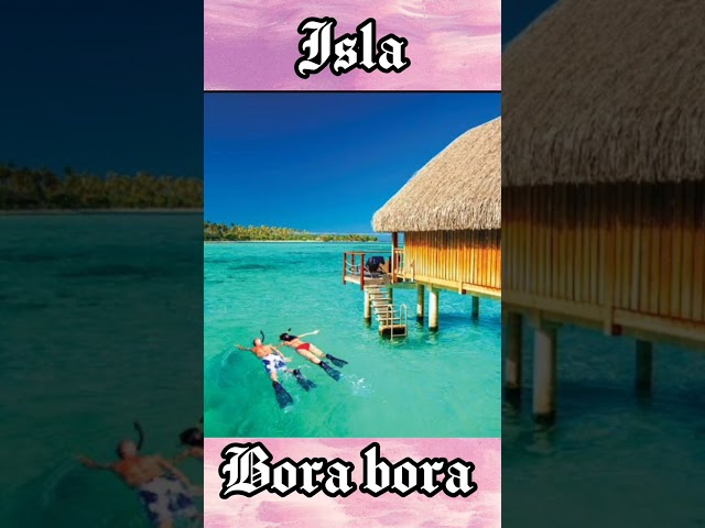 Vídeo relacionado con Close Up Póster de Terminator (61 x 91,5 cm) + 1 póster de playa de ensueño Isla Bora Bora